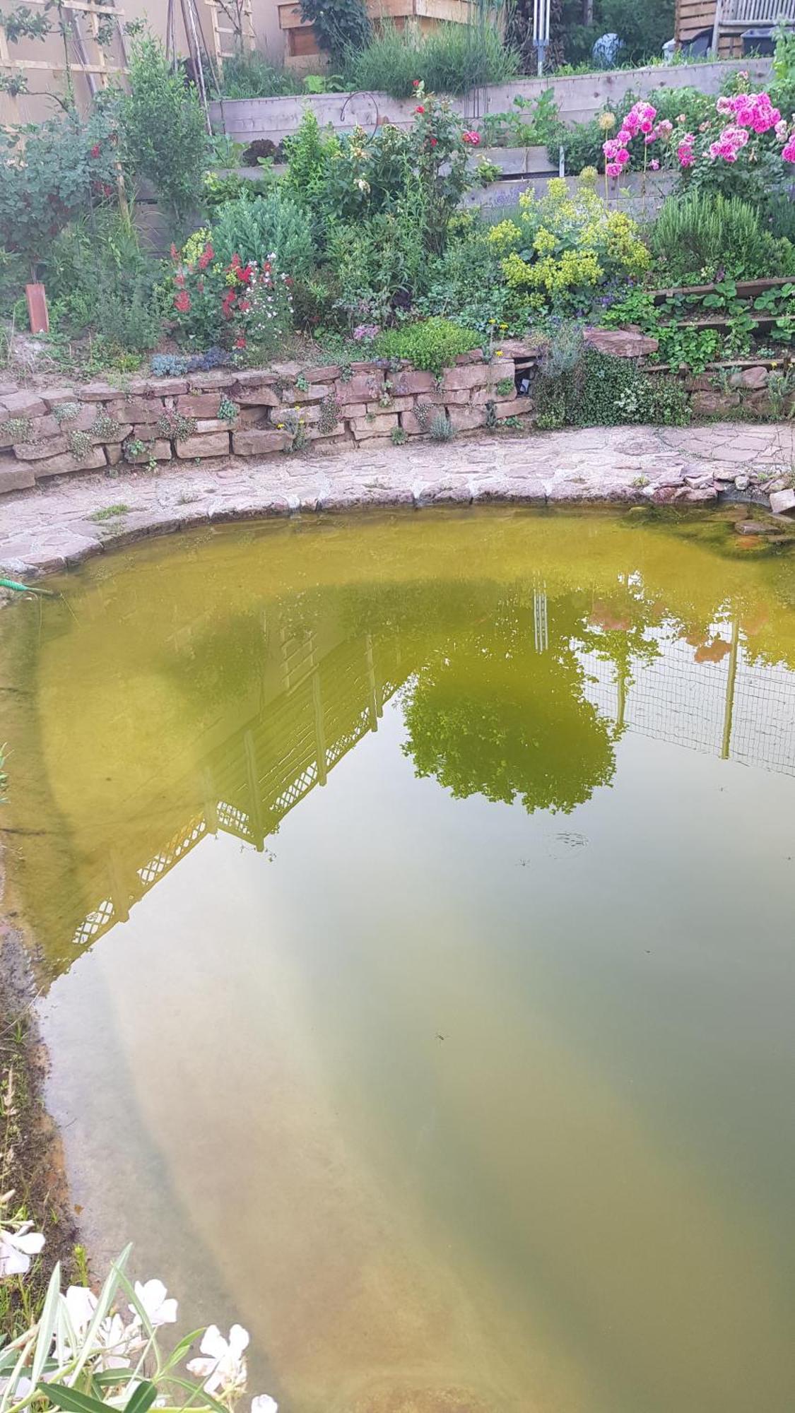 Wohnung Mit Sauna, Garten & Schwimmteich Bietigheim-Bissingen Esterno foto
