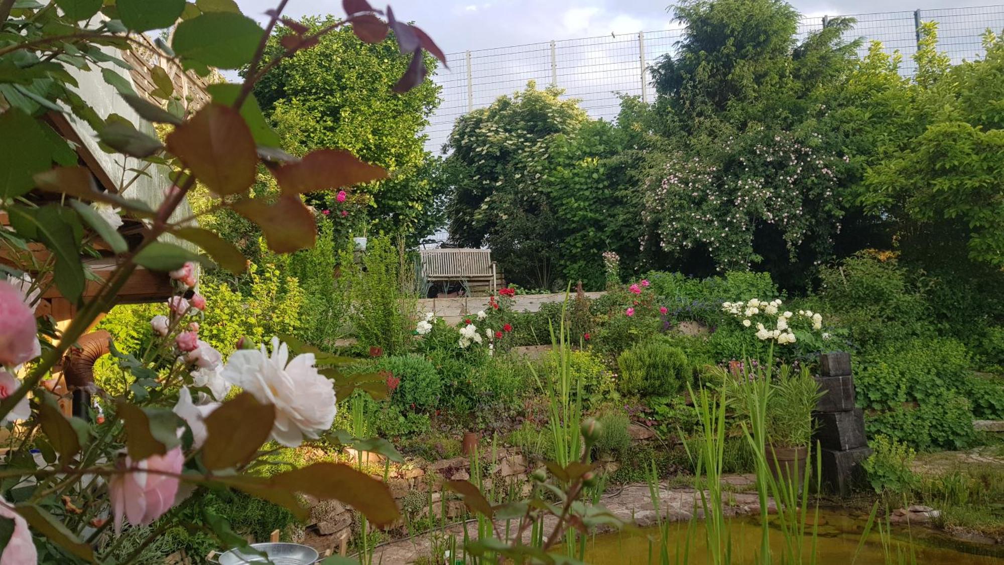 Wohnung Mit Sauna, Garten & Schwimmteich Bietigheim-Bissingen Esterno foto