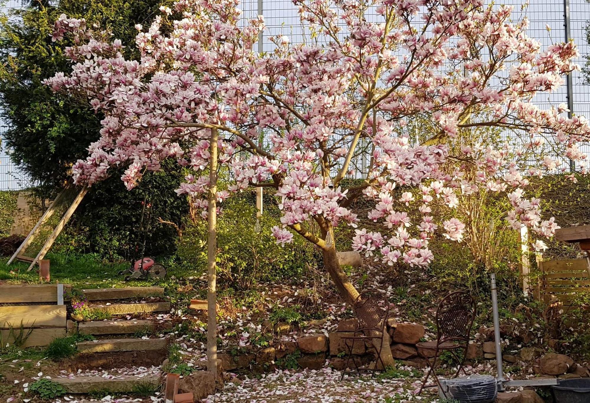 Wohnung Mit Sauna, Garten & Schwimmteich Bietigheim-Bissingen Esterno foto